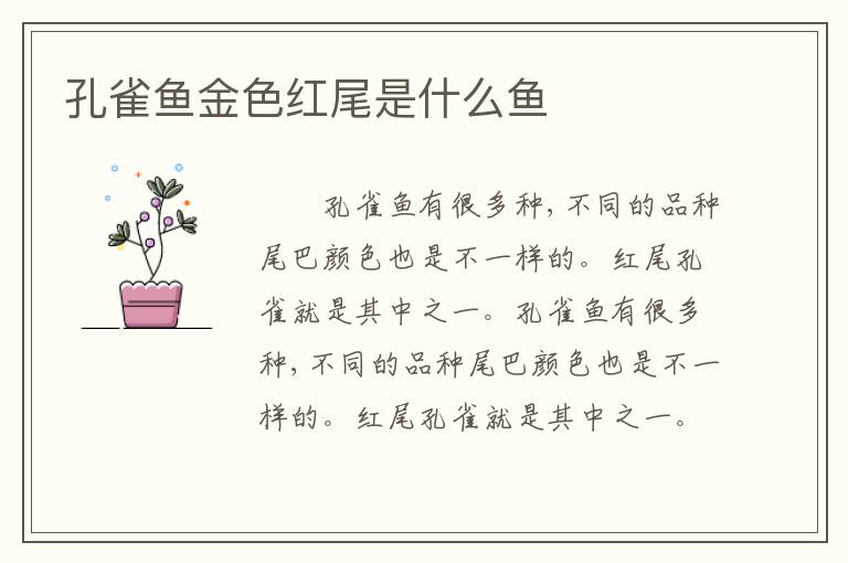 孔雀鱼金色红尾是什么鱼