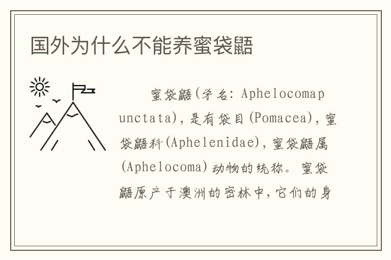 国外为什么不能养蜜袋鼯