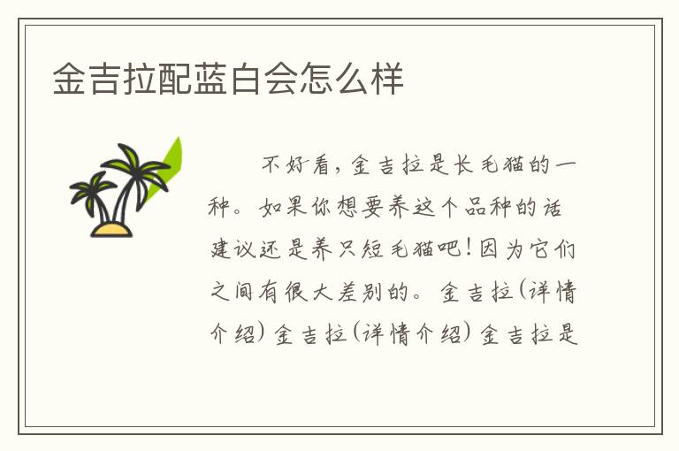 金吉拉配蓝白会怎么样