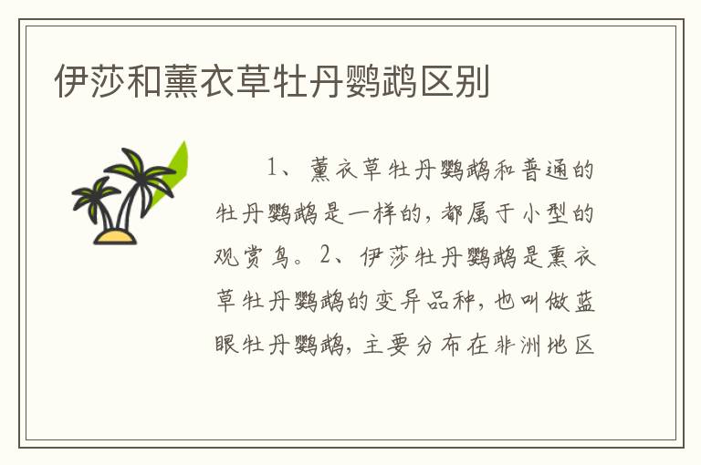 伊莎和薰衣草牡丹鹦鹉区别