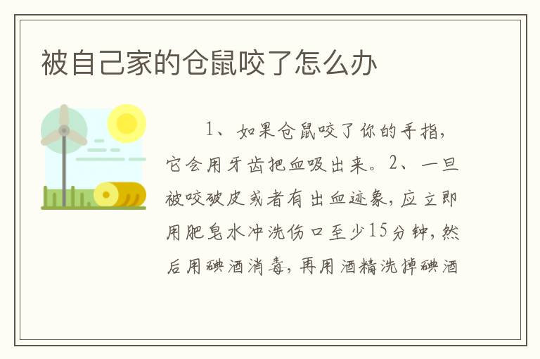 被自己家的仓鼠咬了怎么办