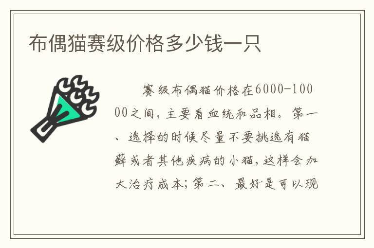 布偶猫赛级价格多少钱一只