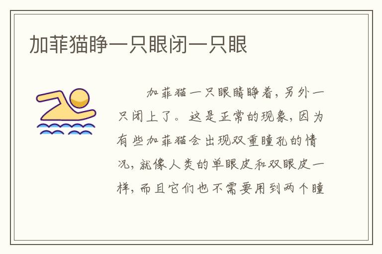 加菲猫睁一只眼闭一只眼