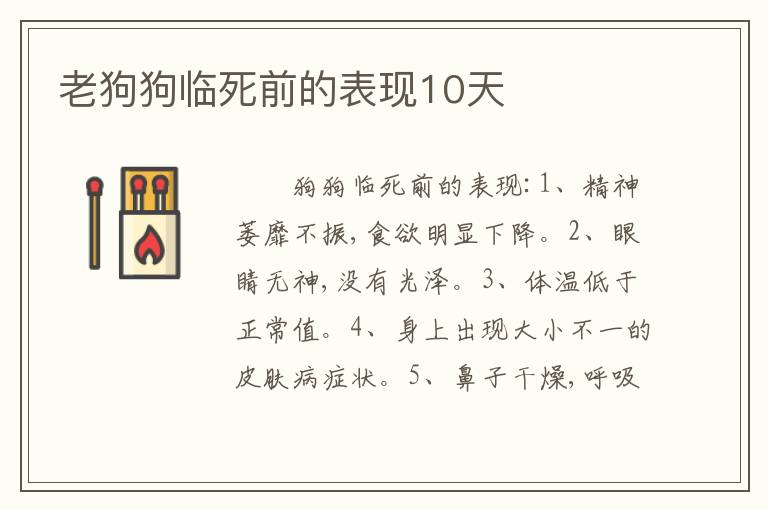 老狗狗临死前的表现10天
