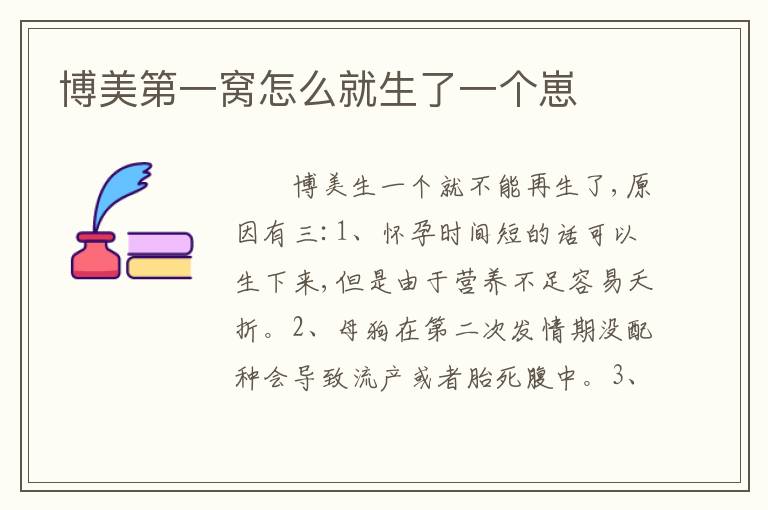 博美第一窝怎么就生了一个崽