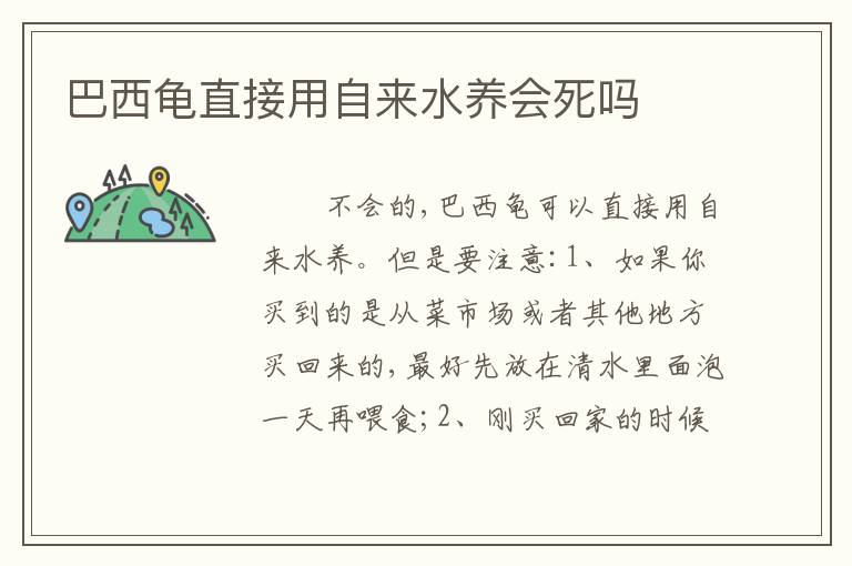 巴西龟直接用自来水养会死吗