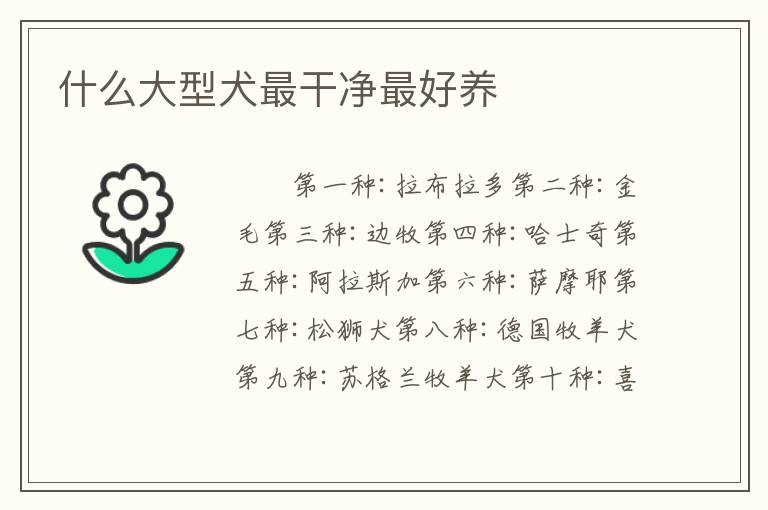 什么大型犬最干净最好养