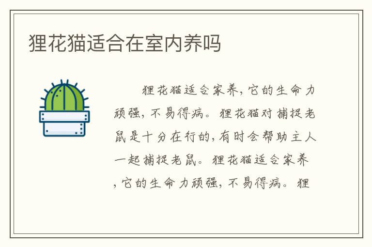 狸花猫适合在室内养吗