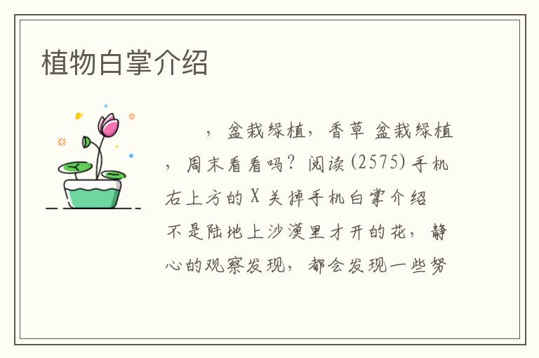 植物白掌介绍