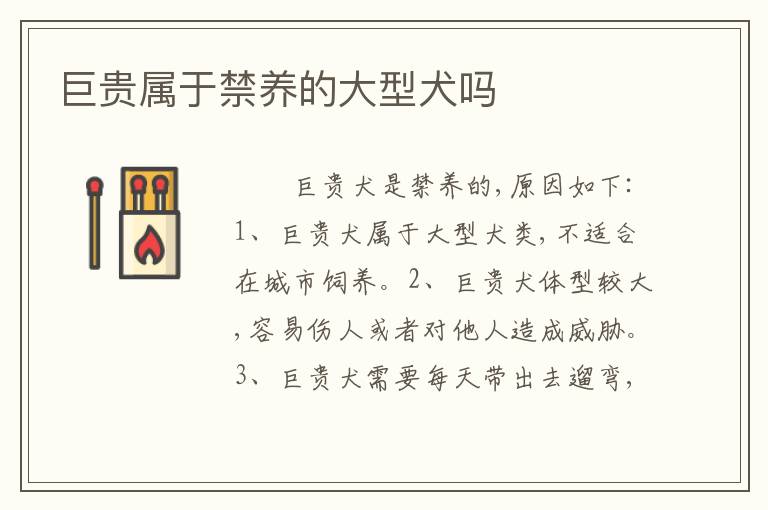 巨贵属于禁养的大型犬吗