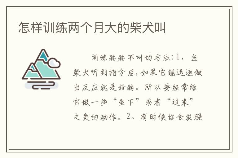 怎样训练两个月大的柴犬叫