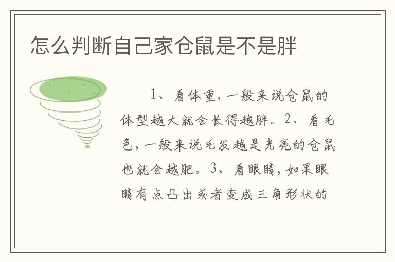 怎么判断自己家仓鼠是不是胖