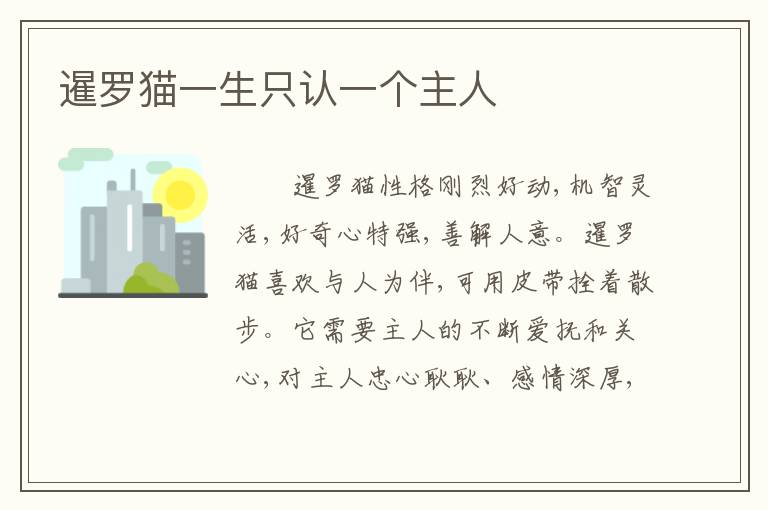 暹罗猫一生只认一个主人