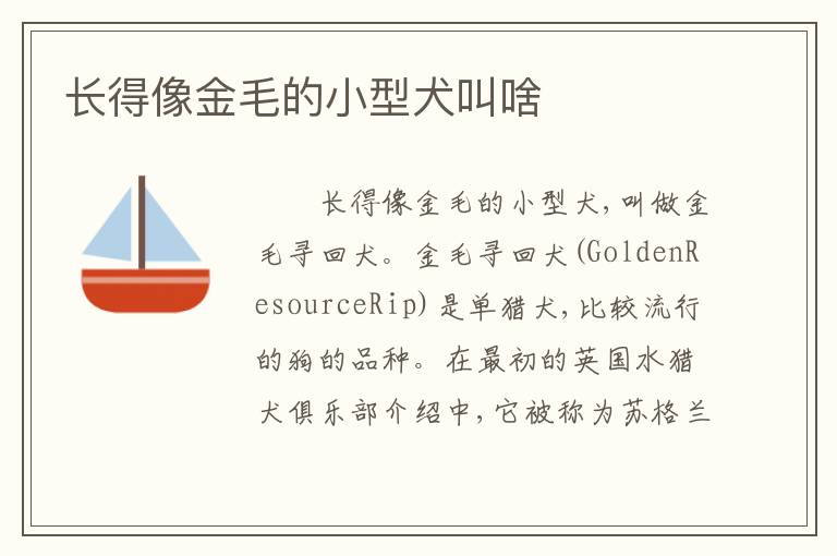 长得像金毛的小型犬叫啥