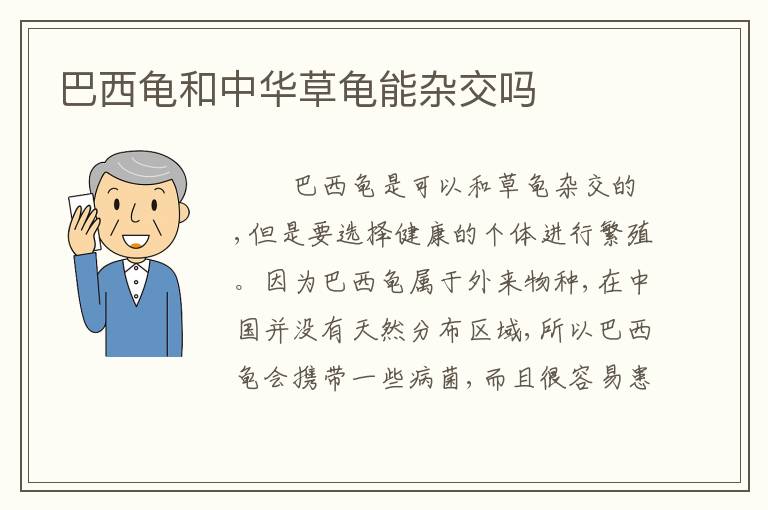 巴西龟和中华草龟能杂交吗