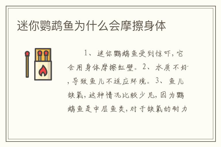 迷你鹦鹉鱼为什么会摩擦身体