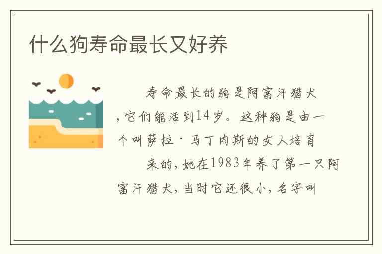 什么狗寿命最长又好养