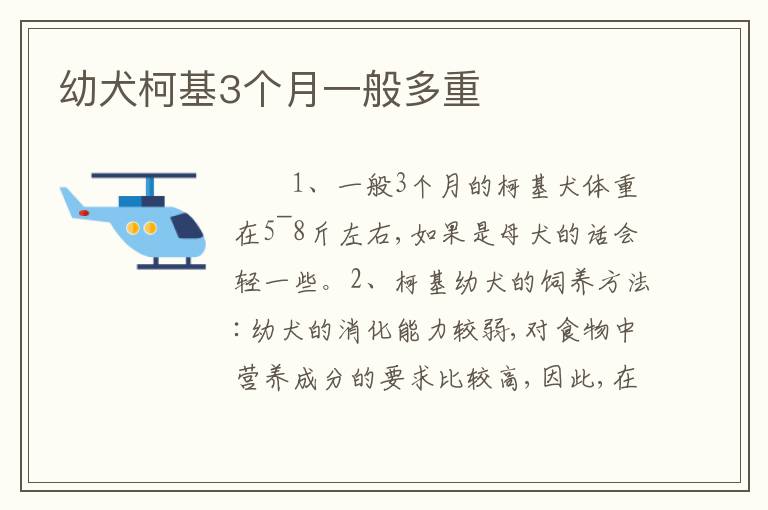 幼犬柯基3个月一般多重