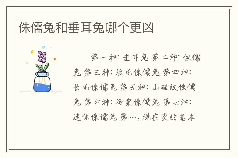 侏儒兔和垂耳兔哪个更凶
