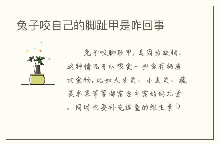 兔子咬自己的脚趾甲是咋回事