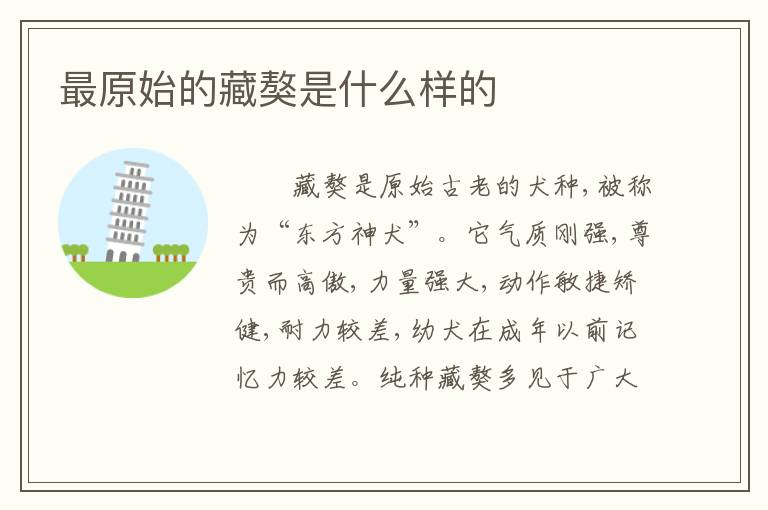 最原始的藏獒是什么样的