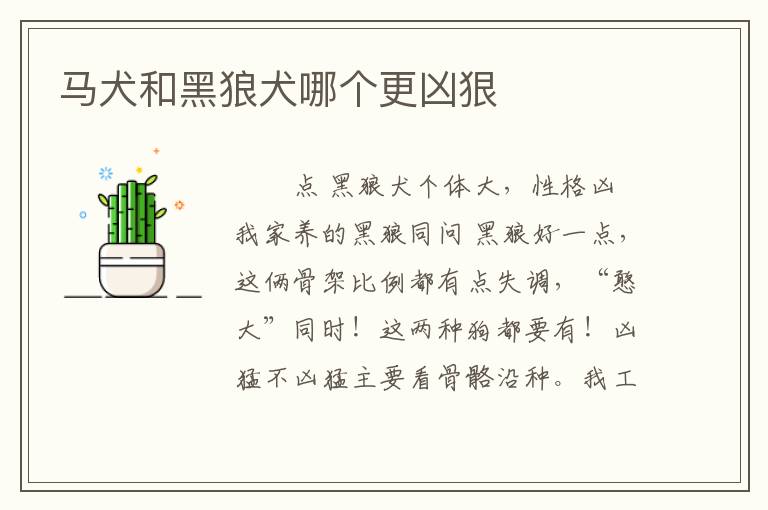马犬和黑狼犬哪个更凶狠