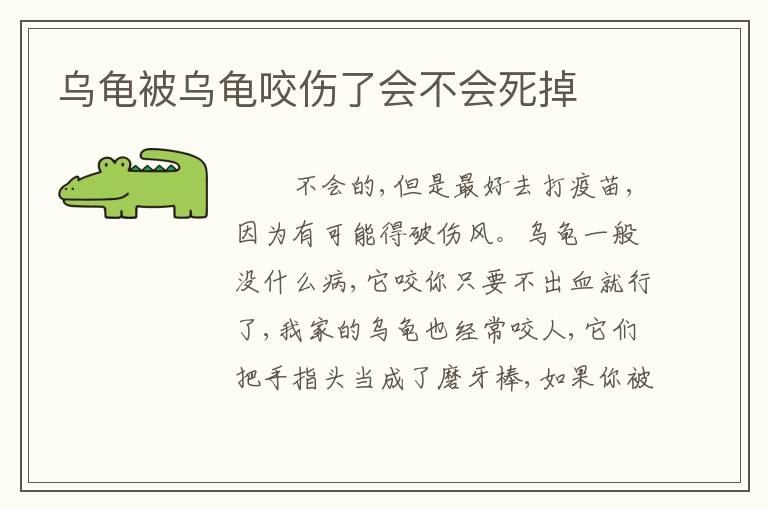 乌龟被乌龟咬伤了会不会死掉
