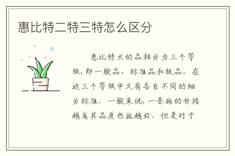 惠比特二特三特怎么区分
