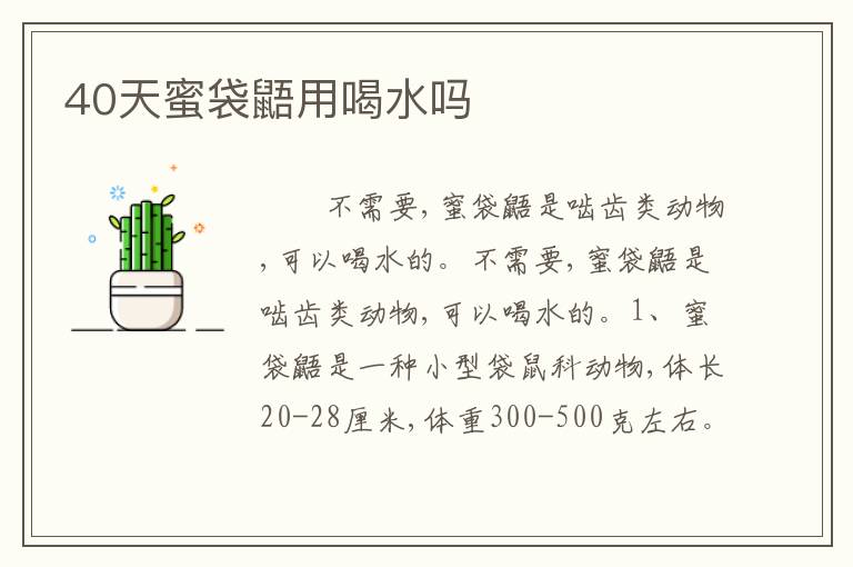 40天蜜袋鼯用喝水吗