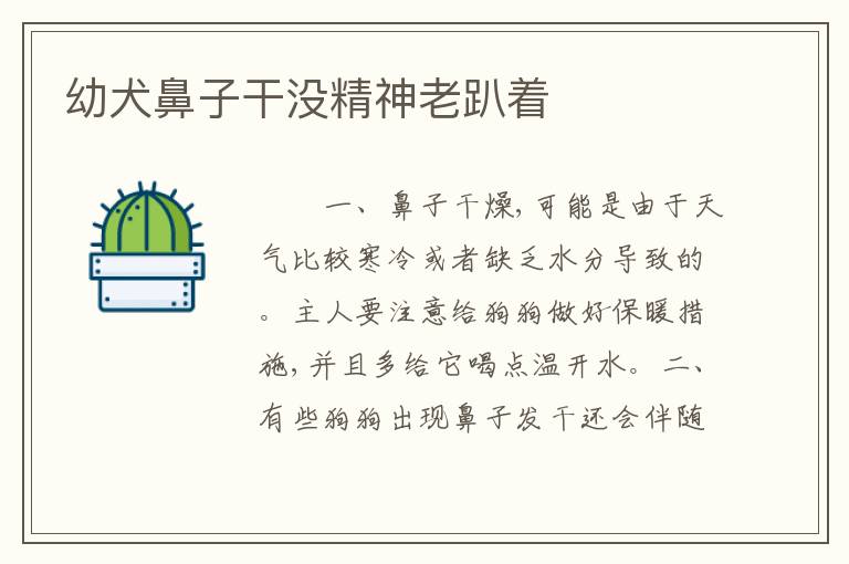 幼犬鼻子干没精神老趴着
