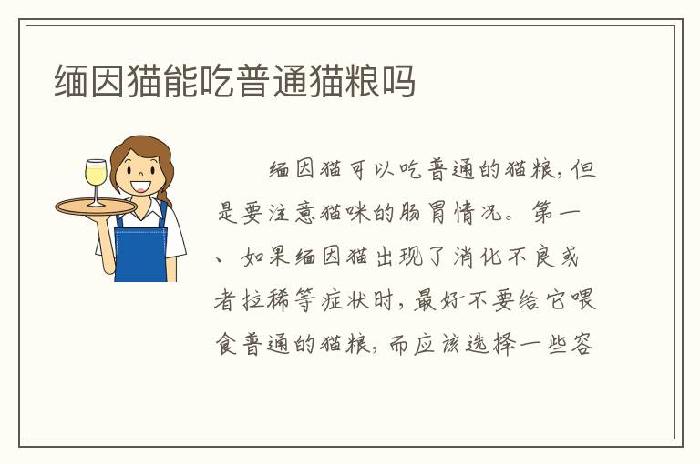 缅因猫能吃普通猫粮吗