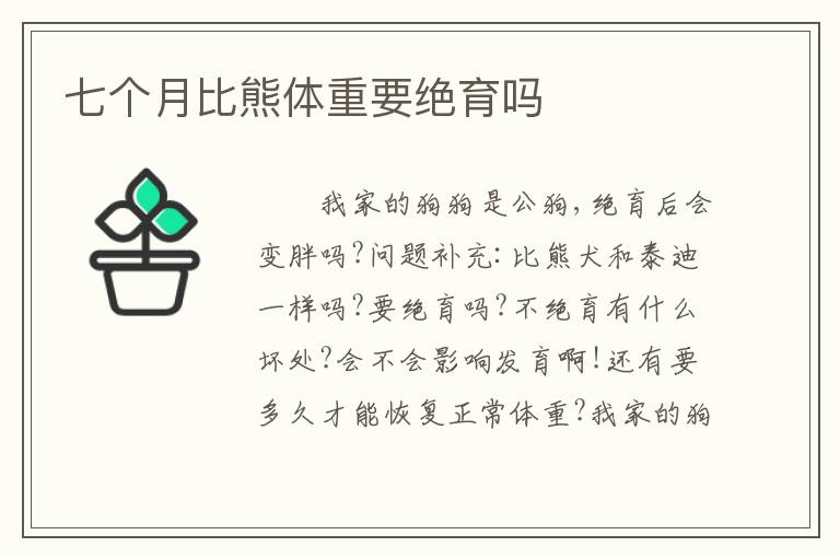 七个月比熊体重要绝育吗